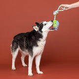 Fringe Conefidence Is Yummy Plush Dog Toy