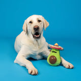 Fringe Avo Fiesta Plush/Spikey Ball Dog Toy