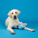 Fringe Feeling Whaley Good Plush Dog Toy