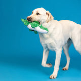 Fringe Ready To Croc Dog Toy