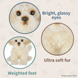 Bisquit The Labradoodle 13in