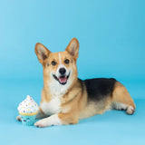 Fringe You Bake Me Crazy Latex Toy