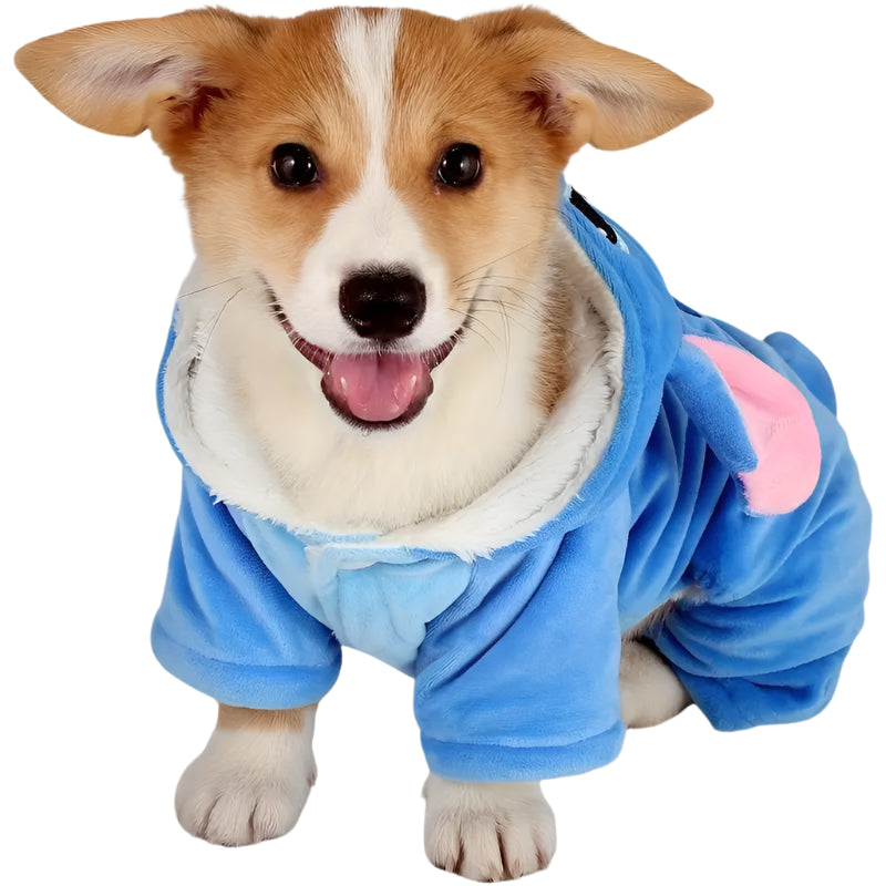 Dog wearing a blue onesie with a hood on a white background