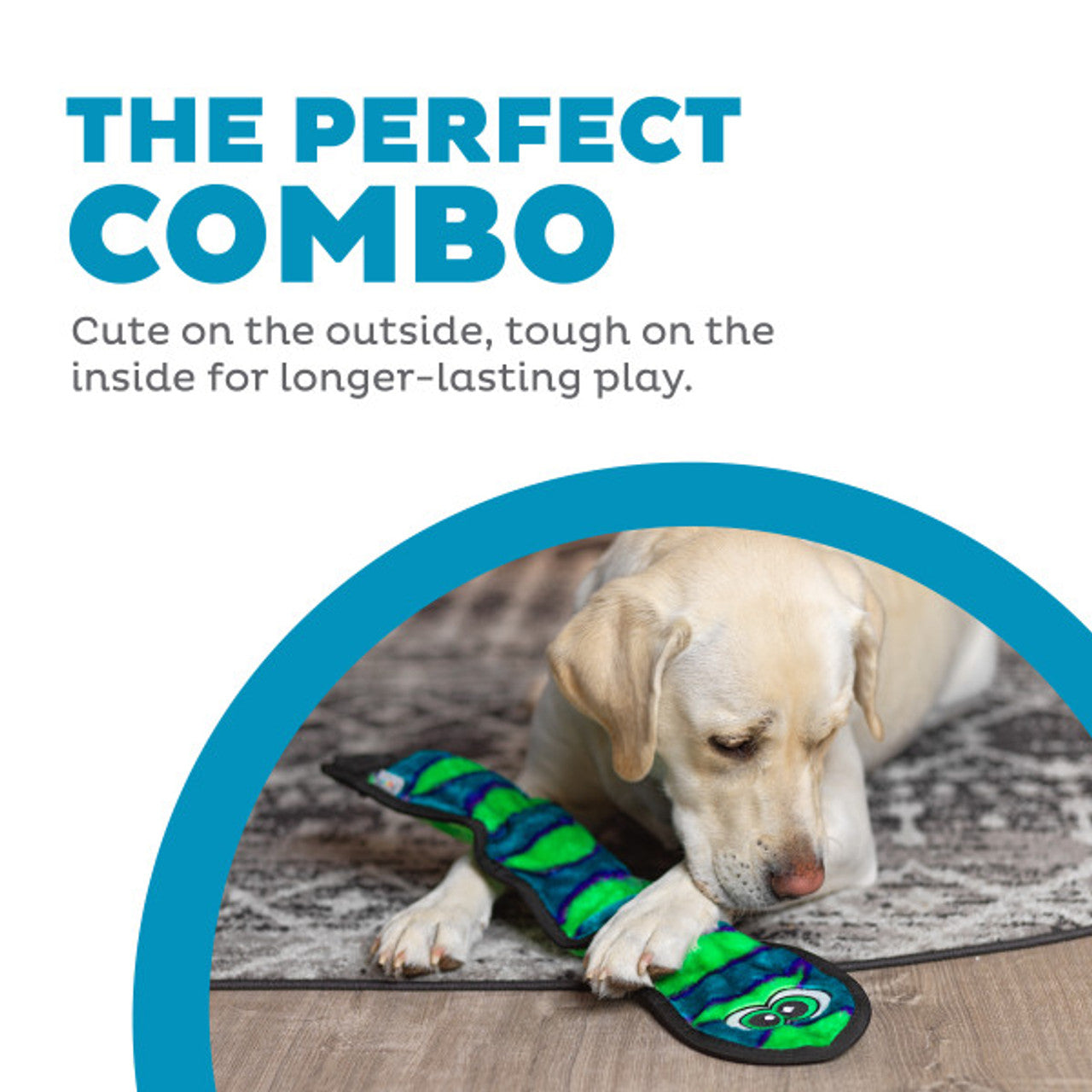 Dog playing with a chew toy, text 'The Perfect Combo' on a white background
