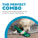 Dog playing with a chew toy, text 'The Perfect Combo' on a white background