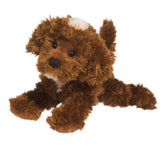 Douglas Bosco Chocolate Labradoodle