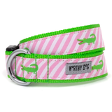 A pink and white striped dog collar with bright green trim, green alligator motifs, and a silver metal D-ring, shown on a white background.