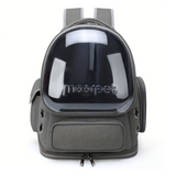 Gray pet backpack with transparent front panel on a white background