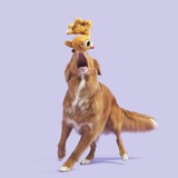 Bark Rudolph the Red-Nosed Reindeer Dog Toy
