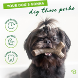 Dog holding a bone-shaped chew toy with text about its benefits on a white background