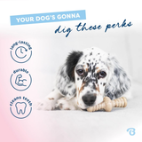 Dog with a bone toy on a light background with text about dog products.