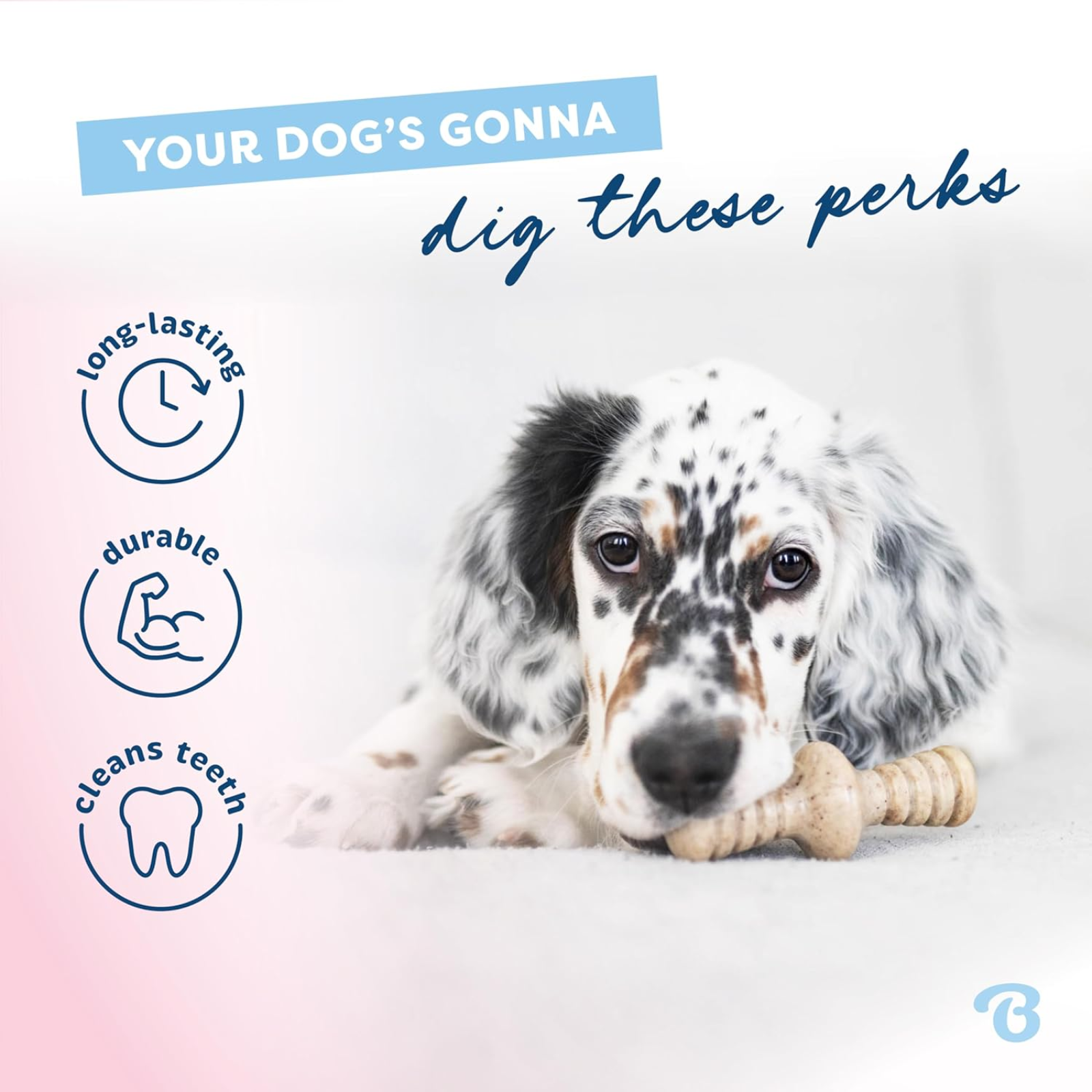 Dog with a bone toy on a light background with text about dog products.