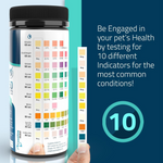 Pet health test kit with color-coded results on a blue background