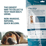 Dog urine testing kit packaging with text highlighting features, featuring a dog lying on a couch.