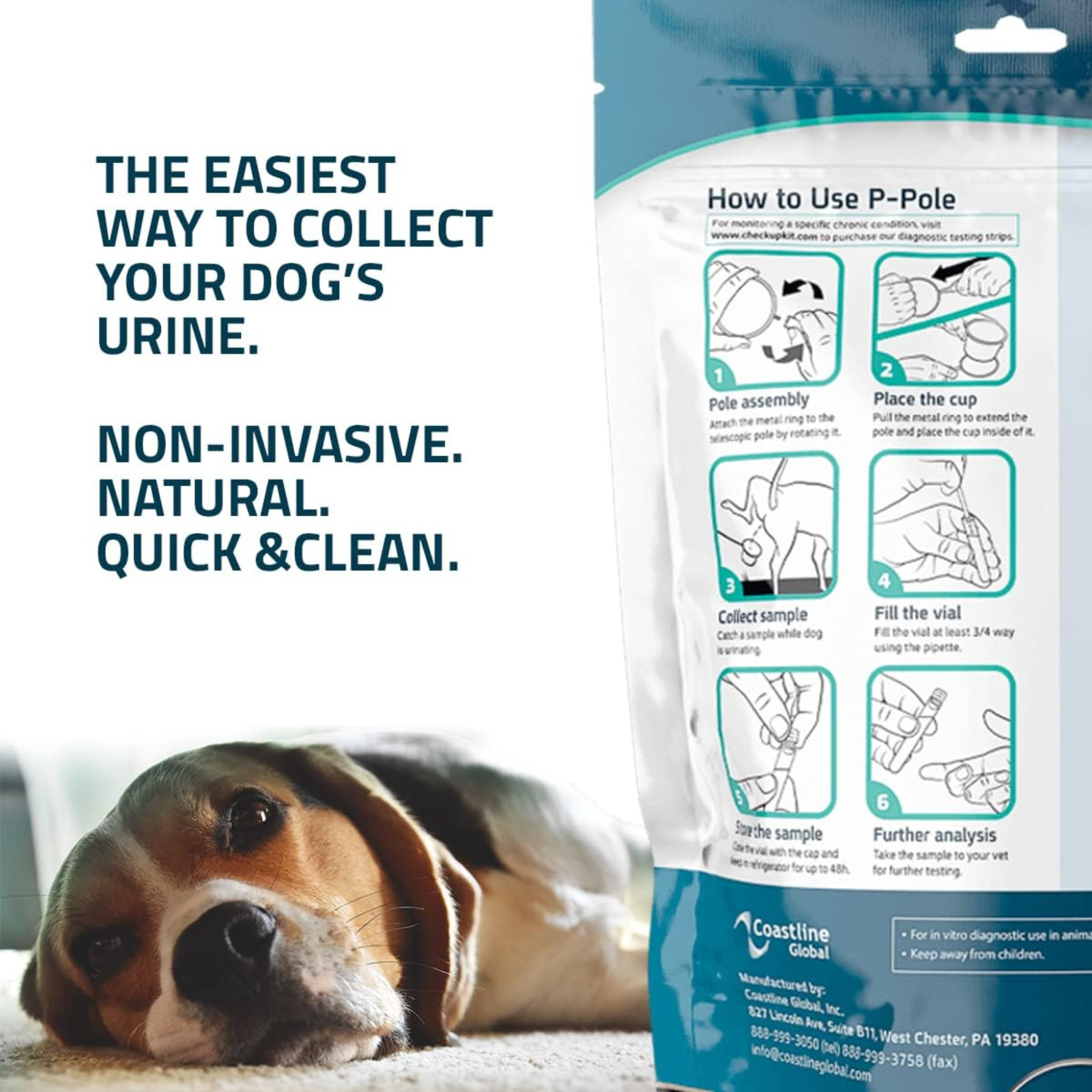 Product packaging for collecting dog urine with text describing its features, next to a beagle.