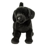 Black plush dog toy on a white background
