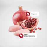 Farmina N&D Cat GF Prime Chicken & Pomegranate USA
