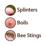 Diagram showing images of splinters, boils, and bee stings with labels on a white background.