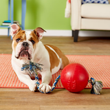 Jolly Pets Romp n Roll Ball Red