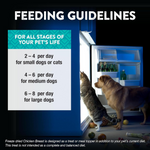 Feeding guidelines for pets with a refrigerator and pets looking inside.