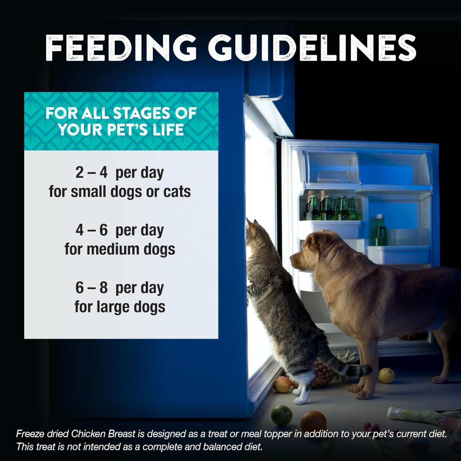 Feeding guidelines for pets with a refrigerator and pets looking inside.
