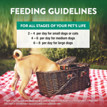 Dog standing next to a picnic basket with feeding guidelines text overlay
