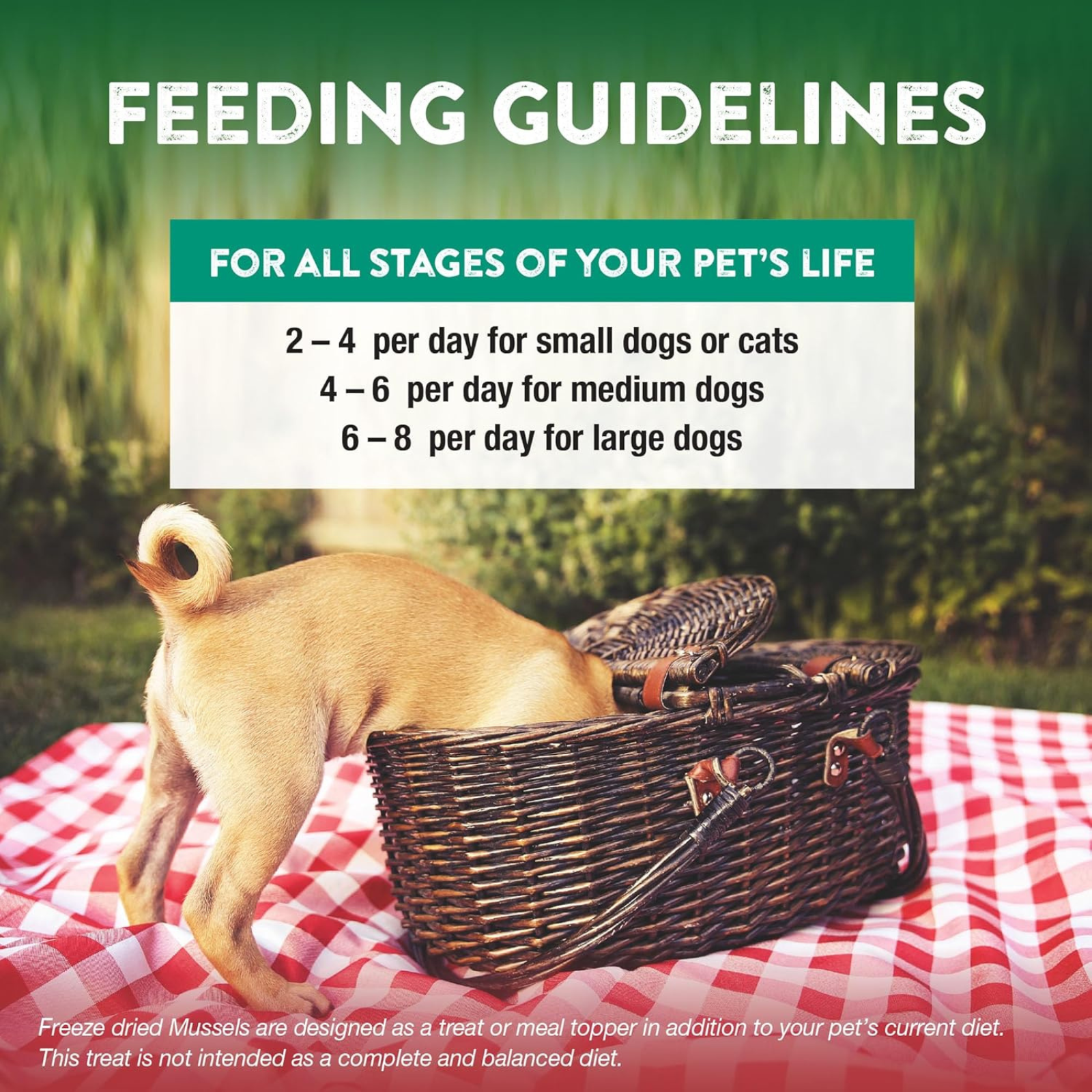 Dog standing next to a picnic basket with feeding guidelines text overlay