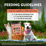 Feeding guidelines for pets with a cat and dog sitting outdoors, holding Raw Rewards treats.