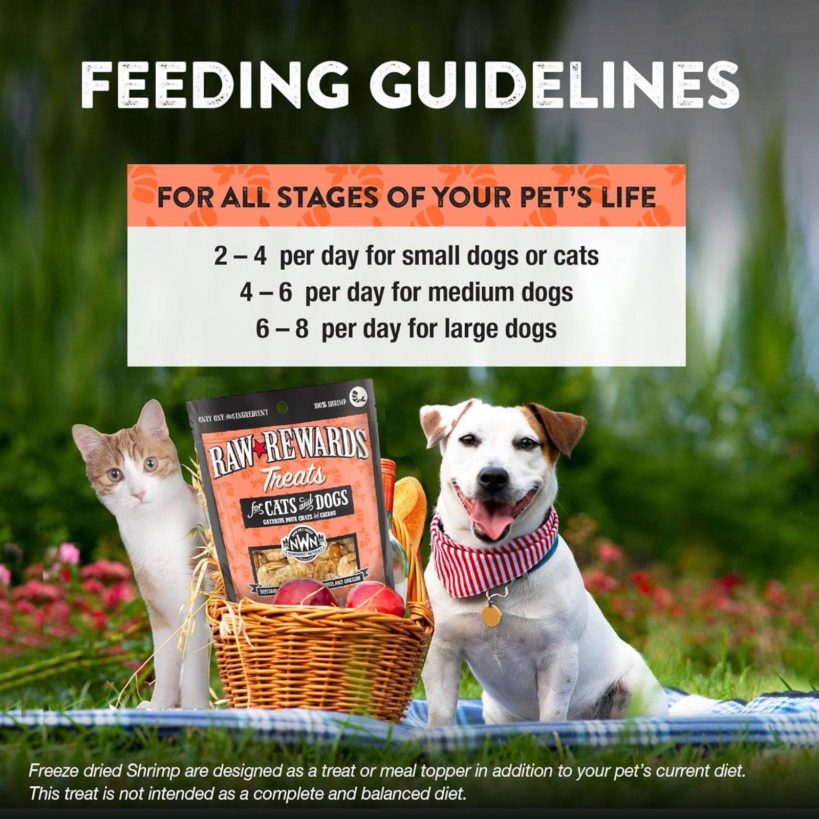 Feeding guidelines for pets with a cat and dog sitting outdoors, holding Raw Rewards treats.