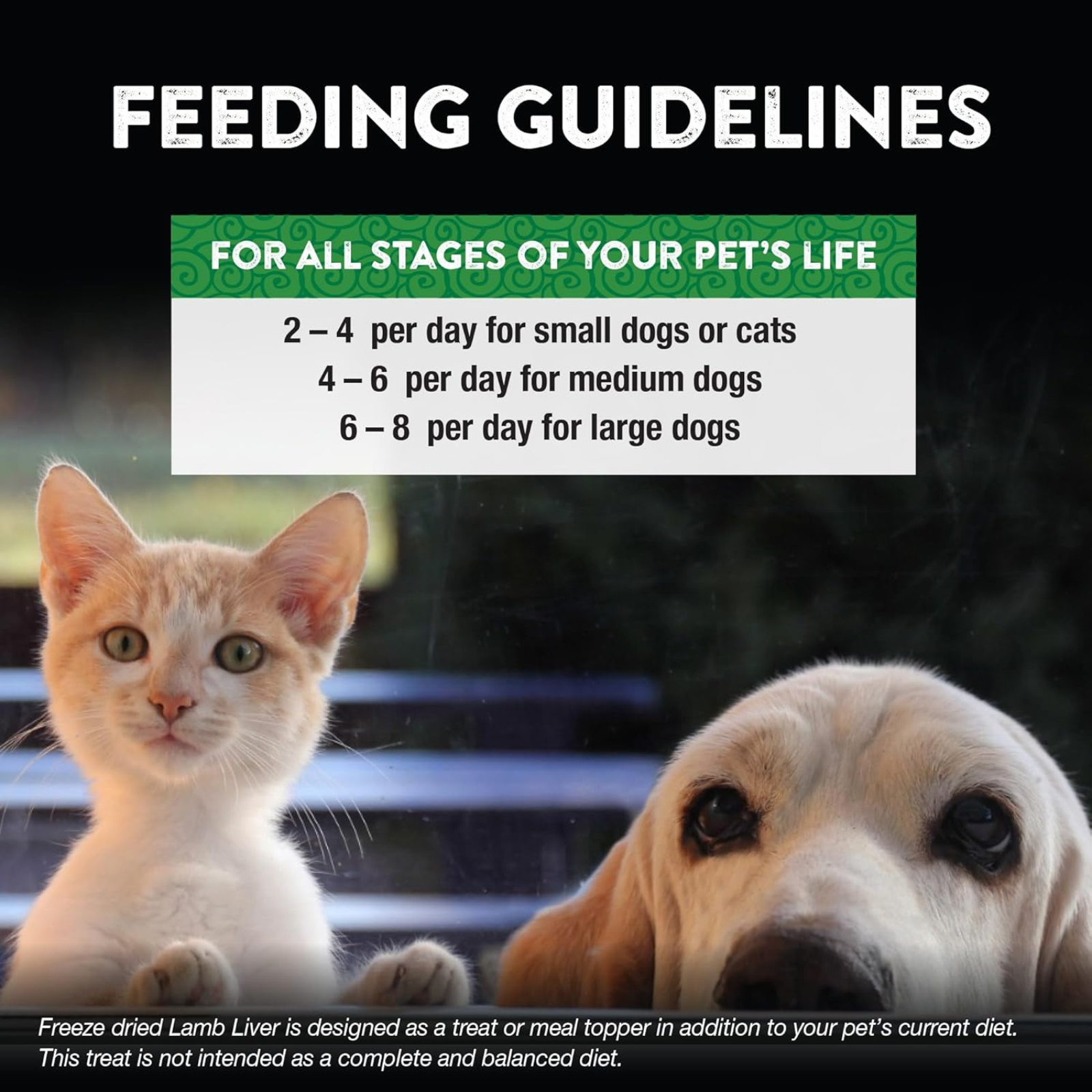 Feeding guidelines for pets with a cat and dog in the foreground.
