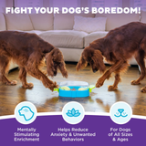 Outward Hound Paw n Play Blue Small