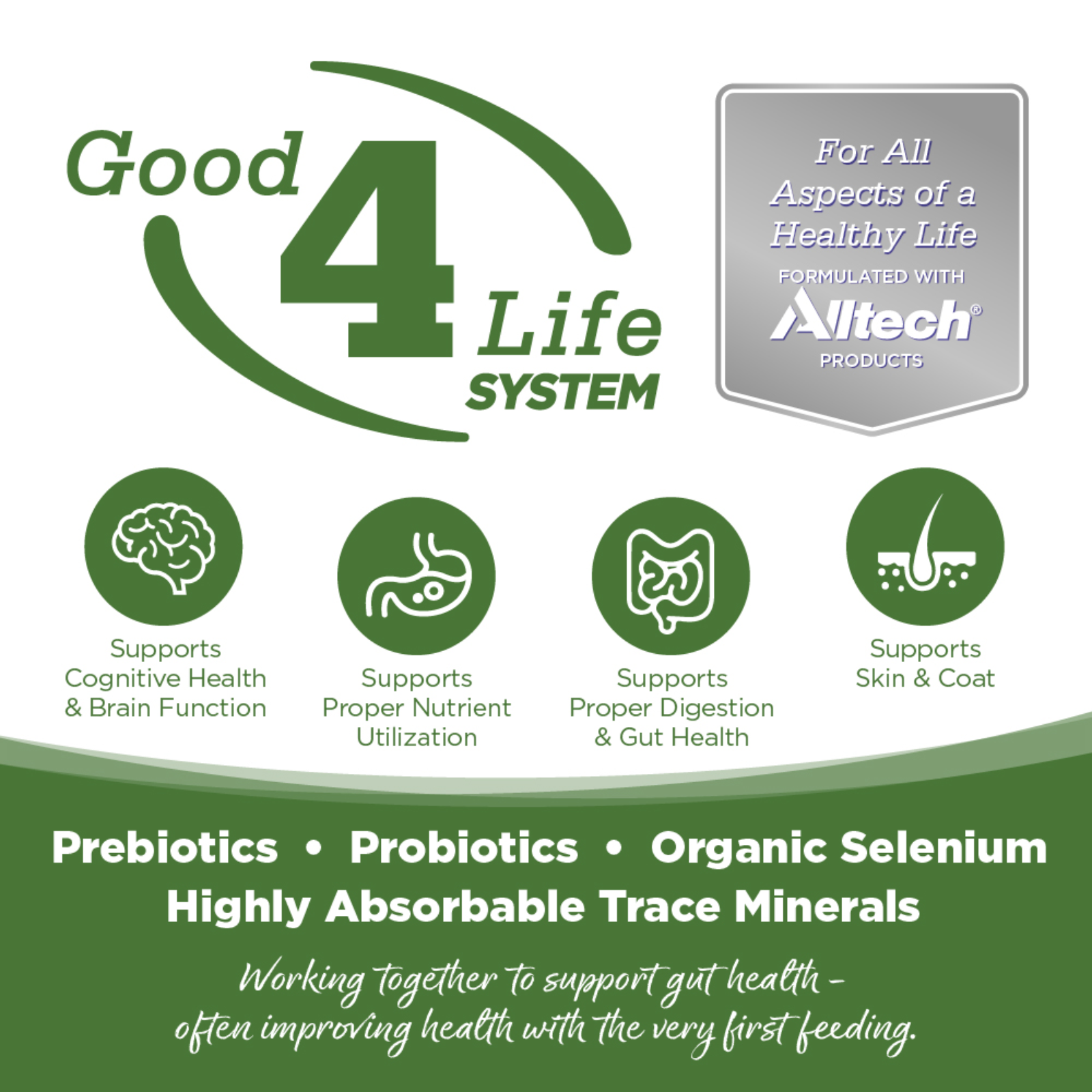 Advertisement for Good 4 Life System with icons and text about health benefits.