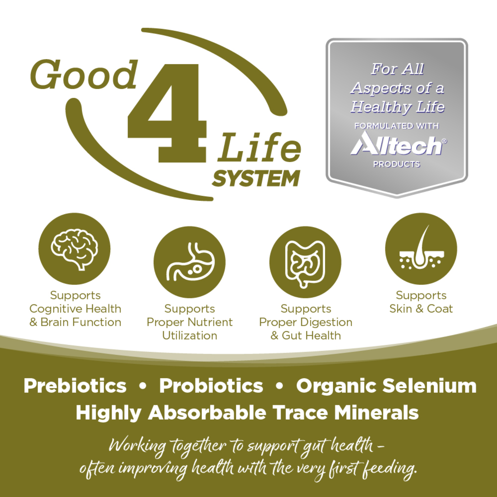 Advertisement for Good 4 Life System with icons and text about health benefits and ingredients.