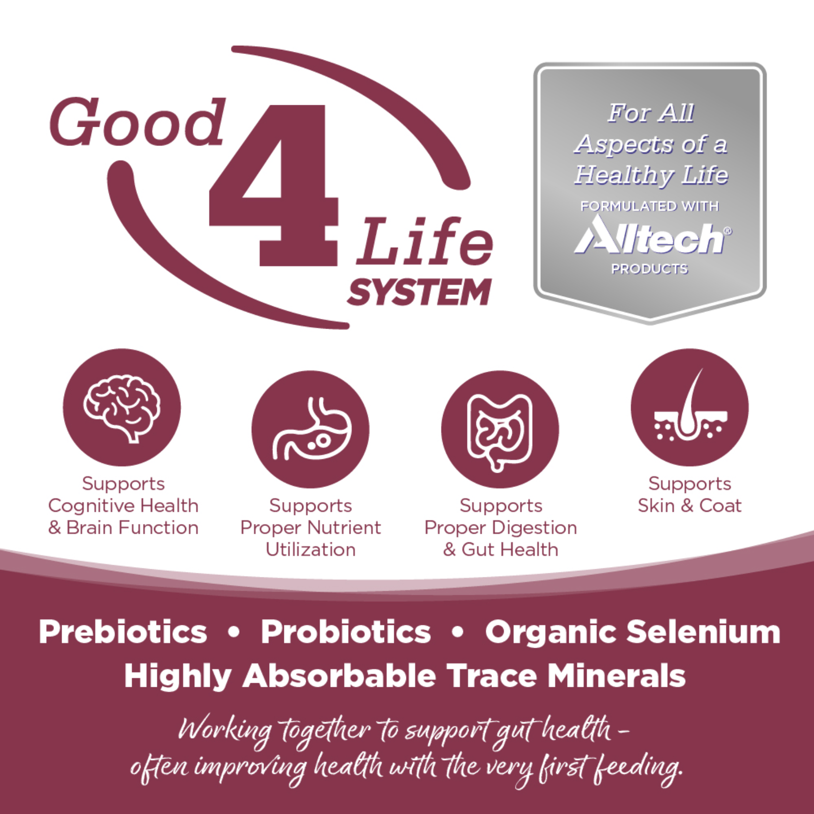 Advertisement for Good 4 Life System with icons and text about health benefits.