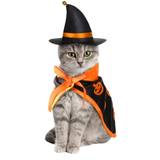 A gray tabby cat wearing a black and orange witch costume with a pointed hat and cape, photographed against a plain white background.