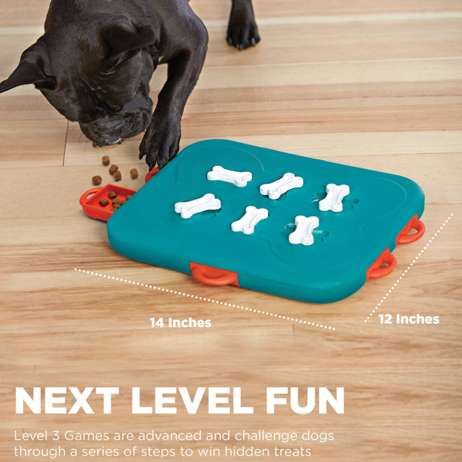 Dog playing with a puzzle toy on a wooden floor