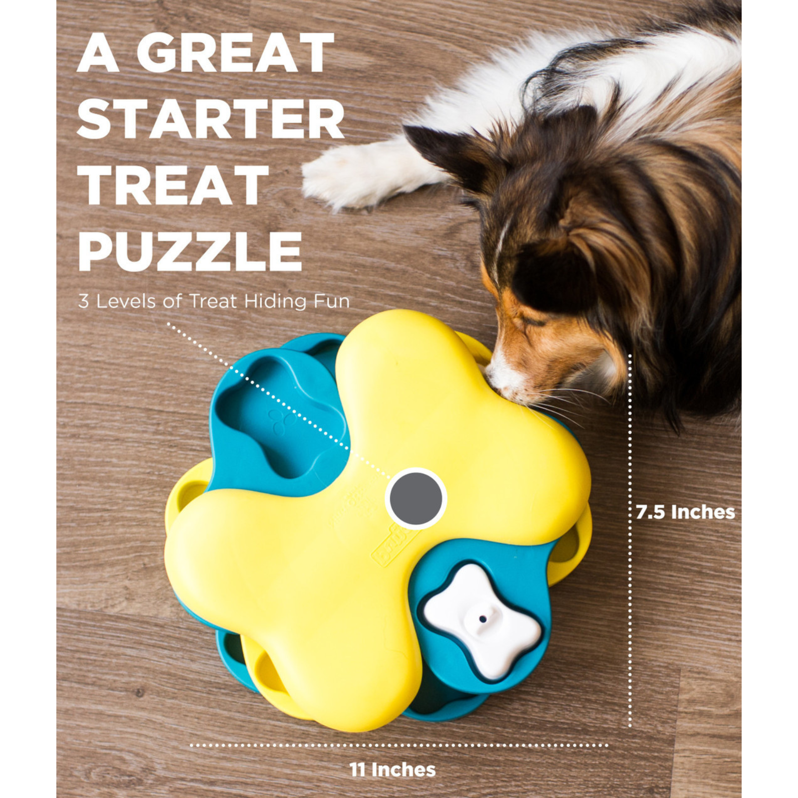 Dog playing with a yellow and blue treat puzzle toy on a wooden floor.