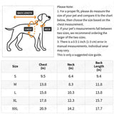 Dog size chart with measurements for chest, neck, and back length.