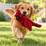 A golden retriever running on green grass in a sunny backyard, holding a red plush cardinal dog toy in its mouth.