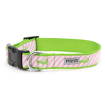 Dog collar with pink and white striped pattern on a green background