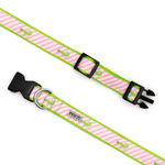 Dog collar with pink and green striped pattern on a white background