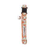 The Worthy Cat Shrimp Blue Cat Collar
