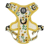 Dog harness with sunflower pattern on a white background