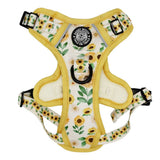 Dog harness with sunflower pattern on a white background