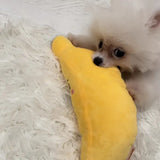 Small white dog playing with a yellow toy shaped like a banana on a white fluffy surface