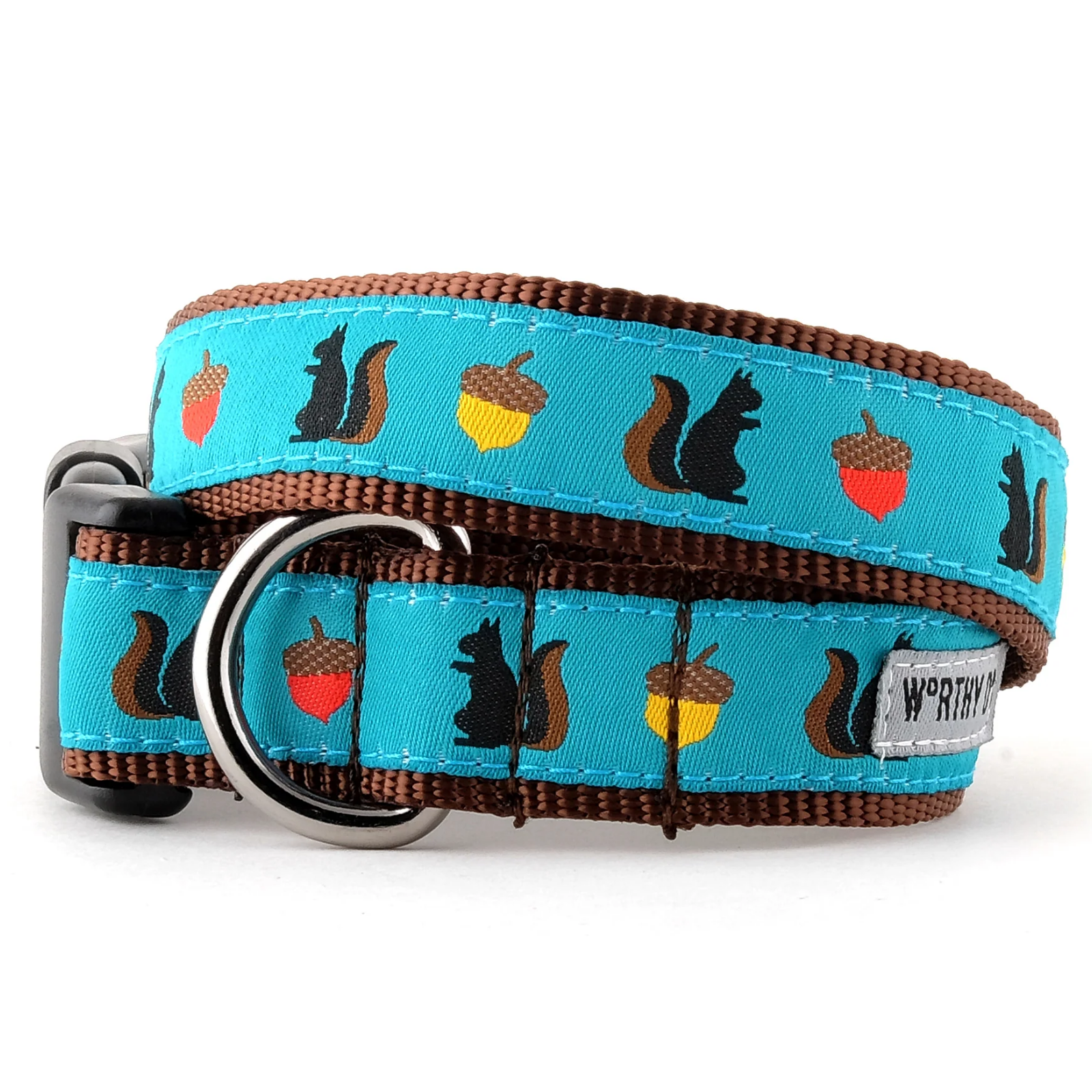 A dog collar with a bright turquoise blue webbed strap featuring a repeating pattern of black squirrels, red and yellow acorns, and brown trim, complete with a silver metal ring and black plastic buckle.