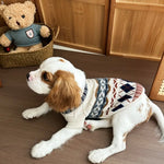 Dog wearing a sweater sitting on a wooden floor with a teddy bear in the background.