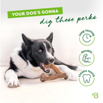 Dog chewing on a bone with promotional text and graphics about dog treats.