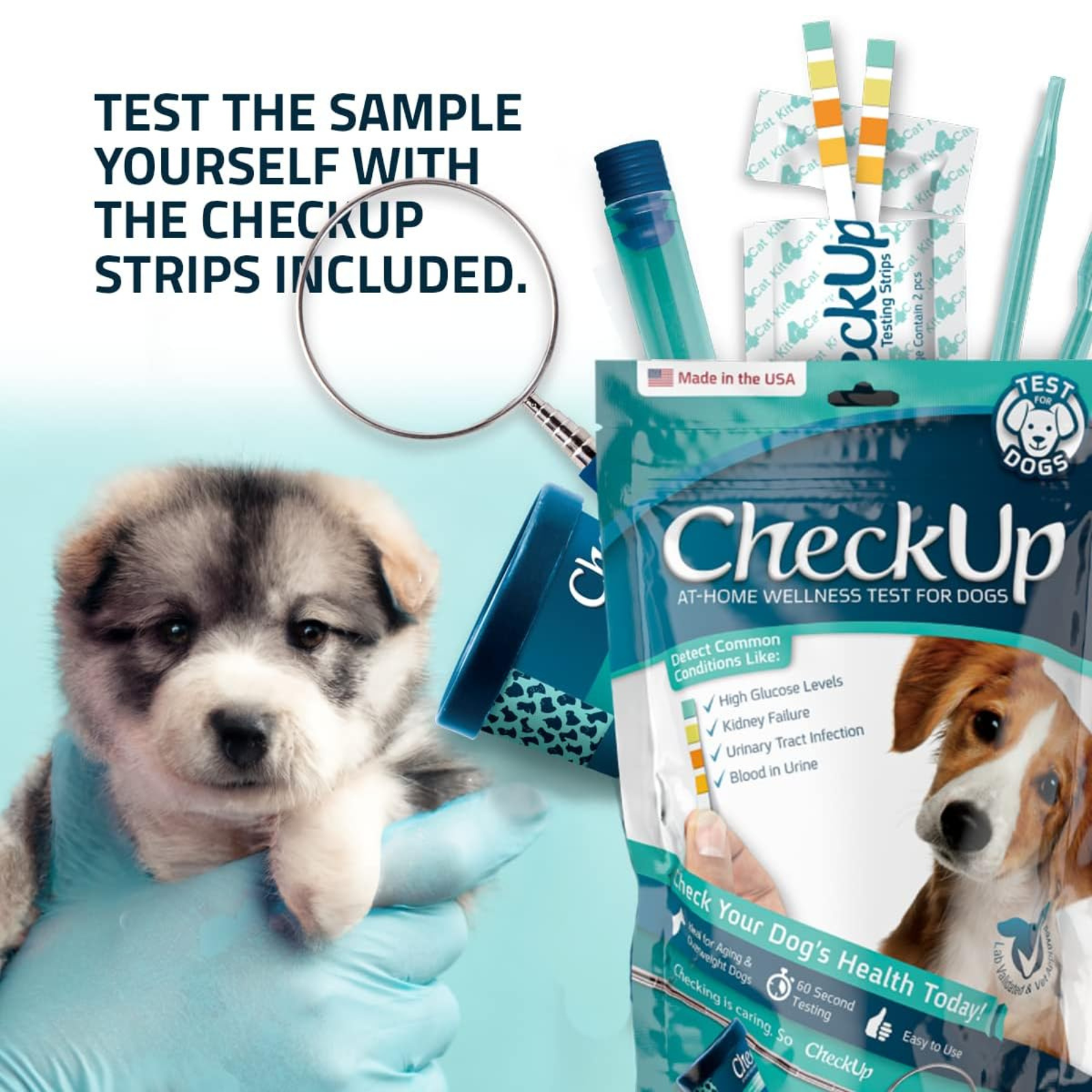 CheckUp at-home wellness test for dogs with a puppy, gloved hand, and magnifying glass on a light blue background.