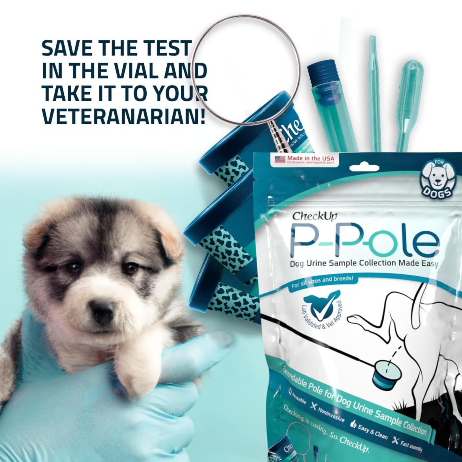 Dog urine sample collection kit with a puppy and gloved hand on a light blue background